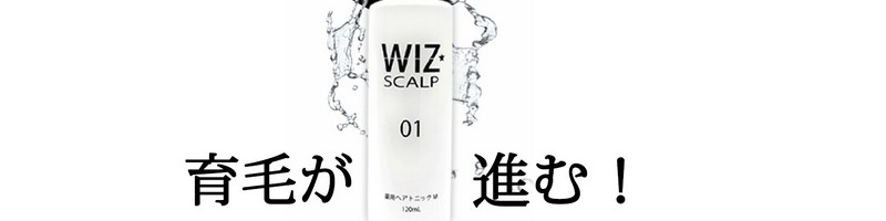 �E�B�Y�X�J���v01���T�C�g